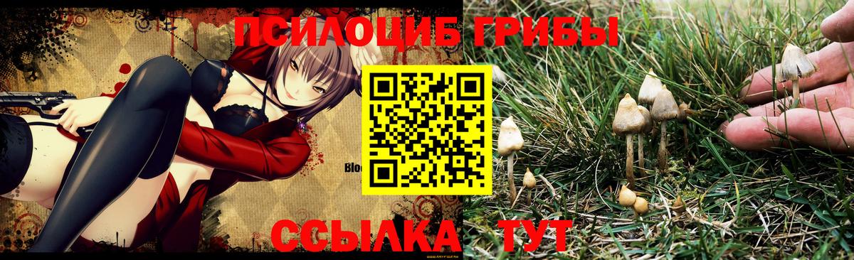 Галлюциногенные грибы ЛСД Гатчина