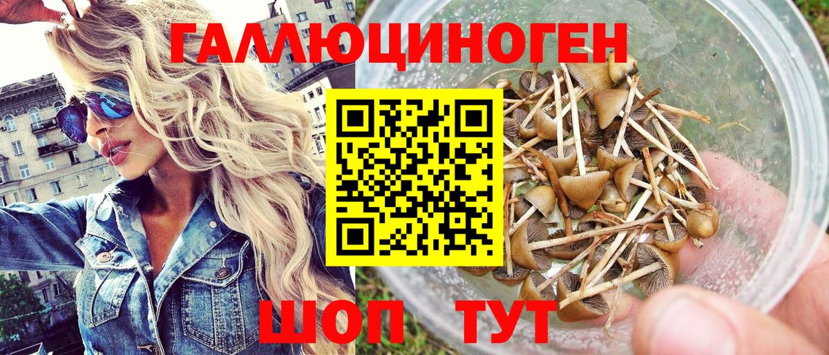 Гатчина  Галлюциногенные грибы Psilocybe  Вход с VPN 